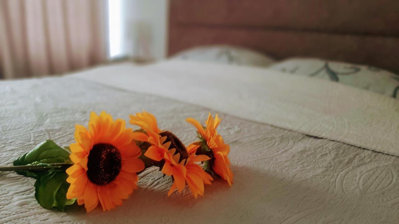Sunshine Apartment Kragujevac Buitenkant foto